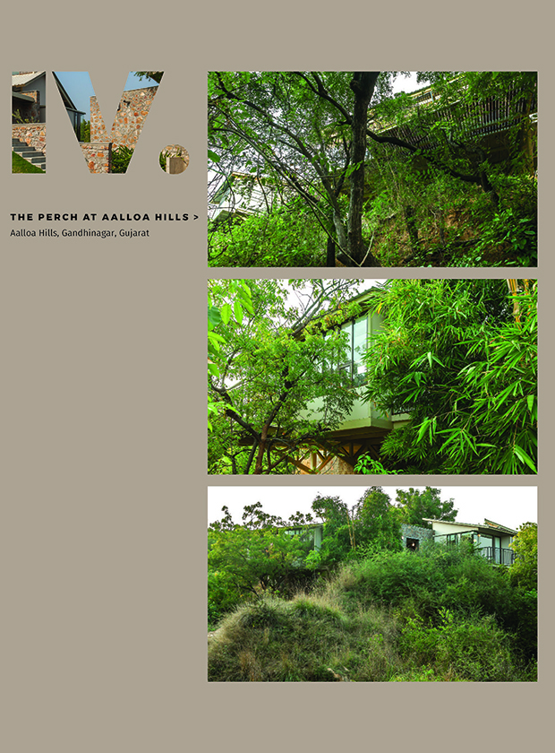 The Perch at Aalloa Hills eBook page 1