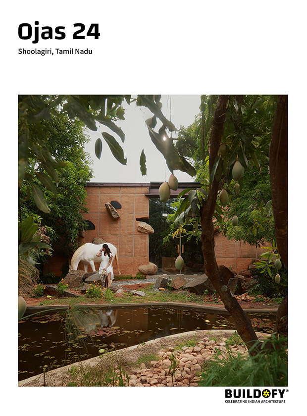 Ojas 24 eBook page 1